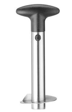 Ananas kniv Rustfritt stål