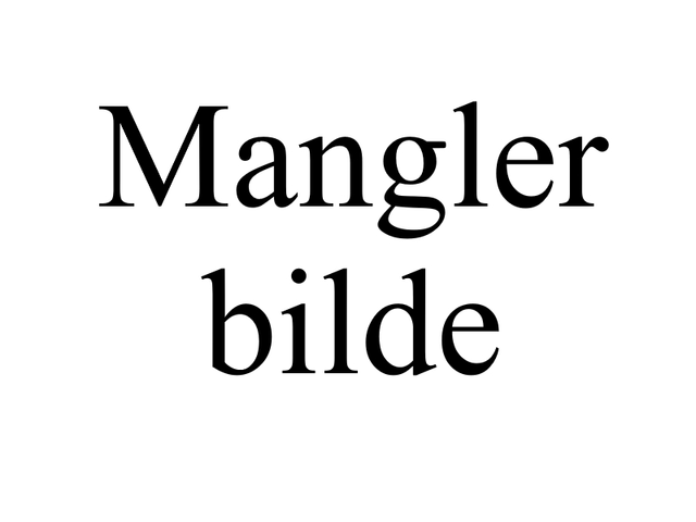 Hullskive 8 mm til kjøttkvern 210819 